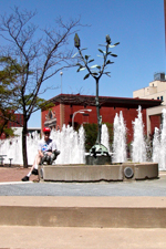 Barry Allis Plaza Tree Sculpture