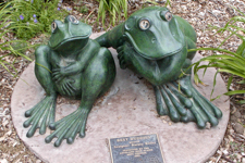 Sculpture of two frogs