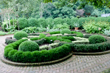 Formal garden circles