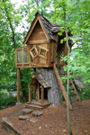 Tree House