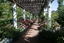 Trellis Walkway