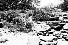 Snow Covered Waterfall Feature