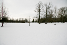 Snow Landscape at Sharon Woods