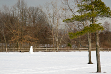 Snow Landscape at Sharon Woods