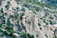 Wind Eroded Columns