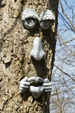 Face on Tree