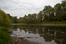 Pond